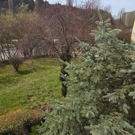 Sloneczny Apartmán